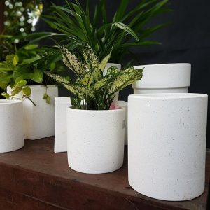 Chậu xi măng đá mài hình trụ tròn đường kính 20cm