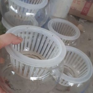 Rọ Nhựa Trồng Cây Thủy Sinh Để Bàn