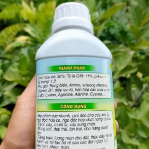 Rong biển phân hữu cơ bón cho cây trồng