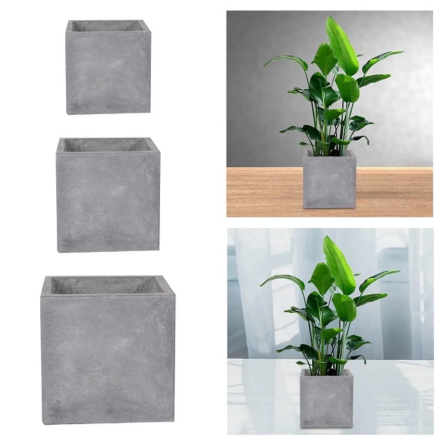 Hình ảnh: chậu xi măng đá mài hình tròn - Top những mẫu chậu xi măng đá mài hot nhất hiện nay