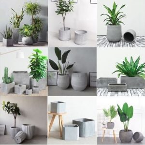 Top Những Chậu Xi Măng Đá Mài Hot Nhất Hiện Nay