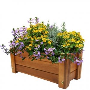 Chậu Gỗ Trồng Cây Hình Chữ Nhật