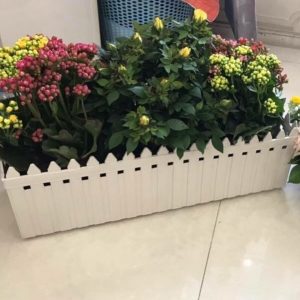 Chậu nhựa hàng rào hình chữ nhật trồng cây