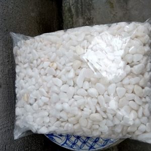 Sỏi Trắng Trồng Cây Và Trang Trí Sân Vườn