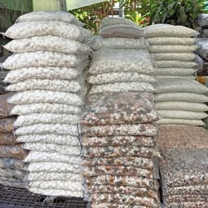 Sỏi Trắng Trồng Cây Và Trang Trí Sân Vườn