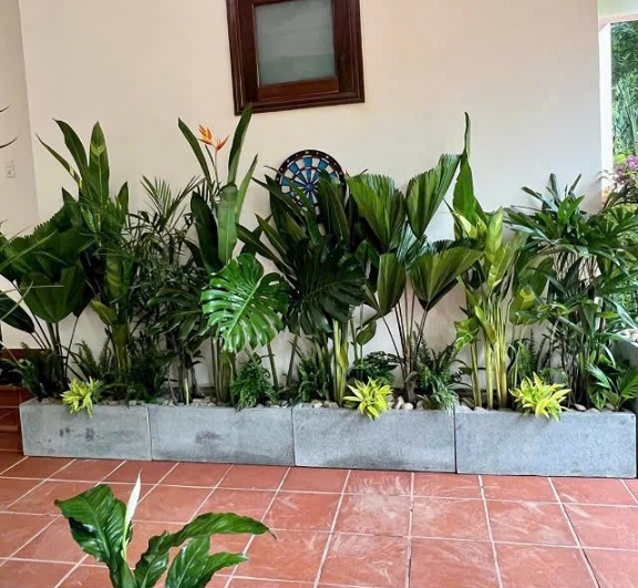 Chậu Xi Măng Hình Chữ Nhật Trồng Cây Kiểng Lá 