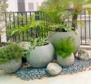 Chậu Xi Măng Đá Mài Trồng Cây Hình Gáo Dừa