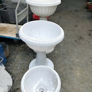 Chậu Ly Chân Đế Trung