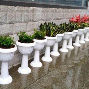 Chậu Nhựa Ly Đế Thấp