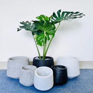 Chậu Xi Măng Đá Mài Hình Thúng