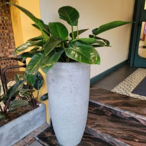 Chậu Xi Măng Đá Mài Hình Đầu Đạn Cao 60cm