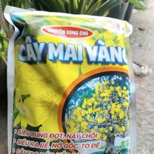 Phân hữu cơ bón cho cây mai vàng