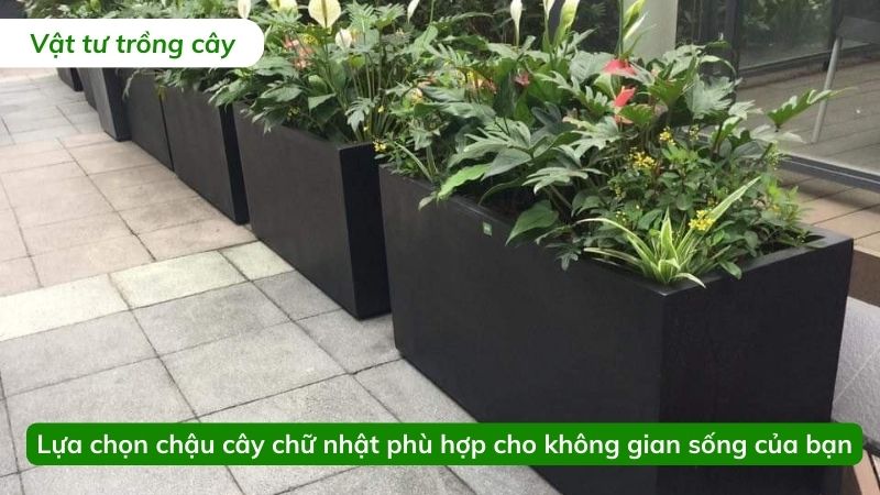chậu cây chữ nhật
