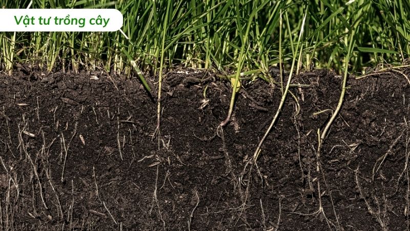 đất trồng cây