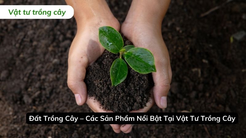 đất trồng cây