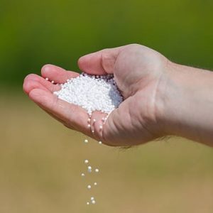 Phân Đạm (ure) Bón Cho Cây Trồng