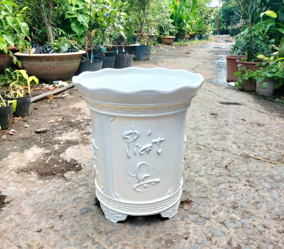 Chậu nhựa trắng tròn
