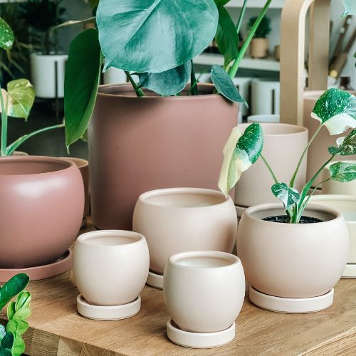 chậu sứ tráng men các loại