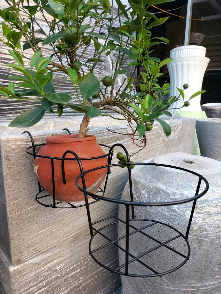 móc sắt lan can trồng cây