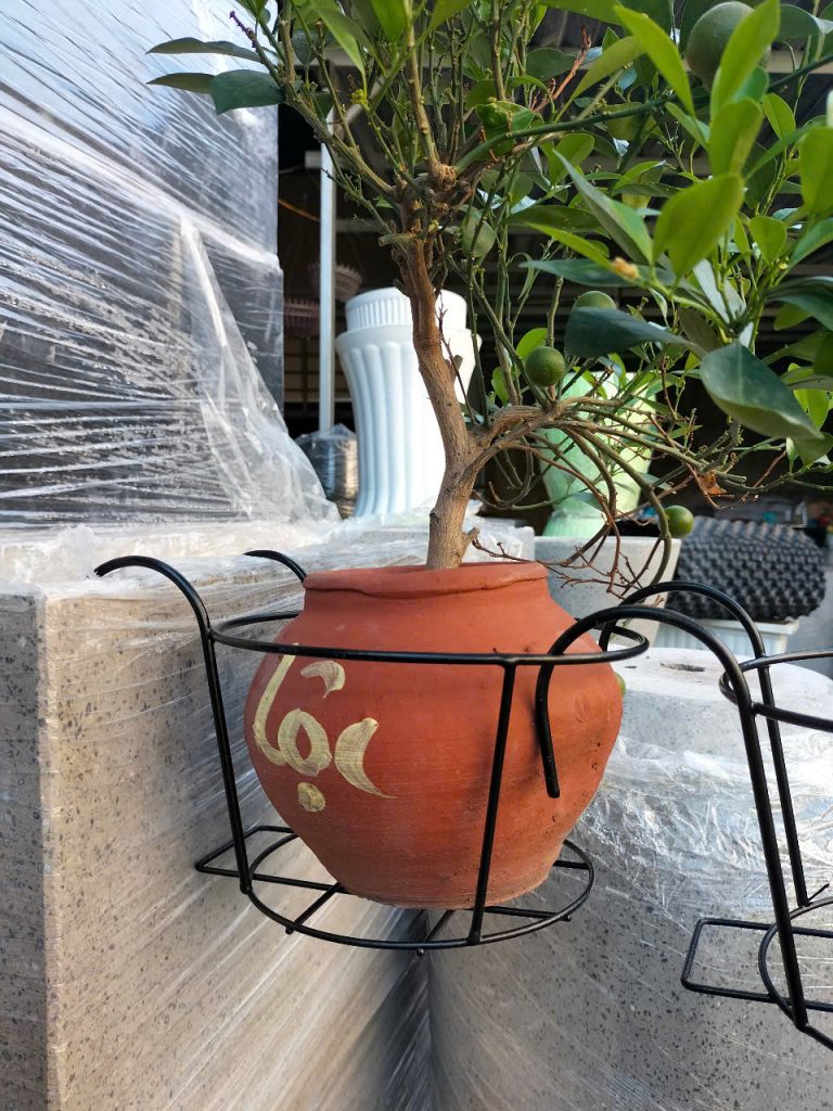 móc sắt lan can trồng cây