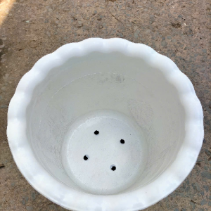 chậu nhựa 30cm 40cm