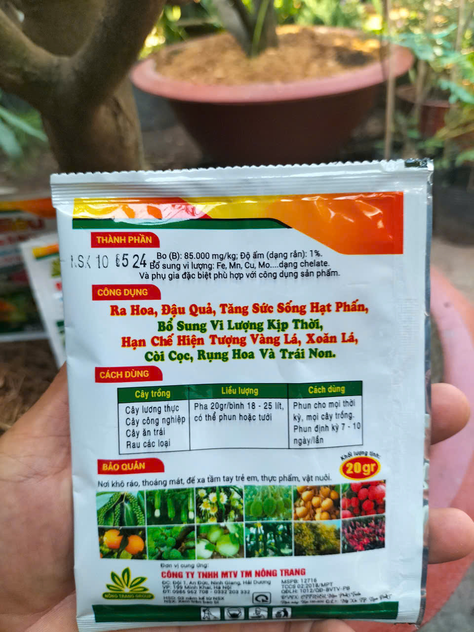 Phân bón siêu ra hoa đậu quả