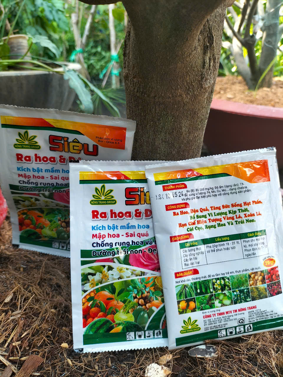 Phân bón siêu ra hoa đậu quả