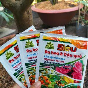 Phân bón siêu ra hoa đậu quả