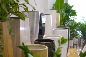 địa điểm mua vật tư trồng cây uy tín