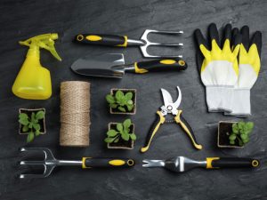 Dụng cụ làm vườn cơ bản cần có