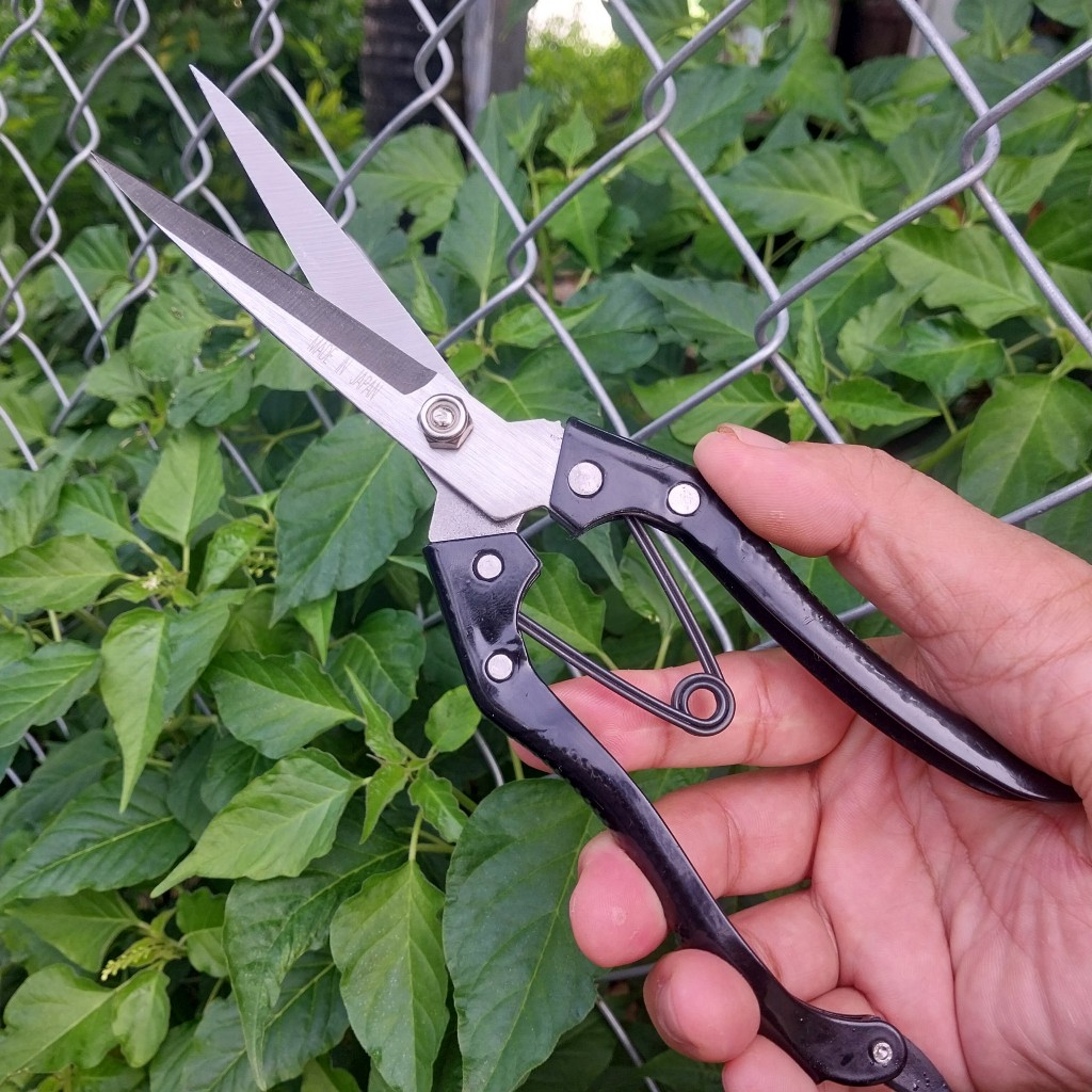 Dụng cụ làm vườn cơ bản cần có